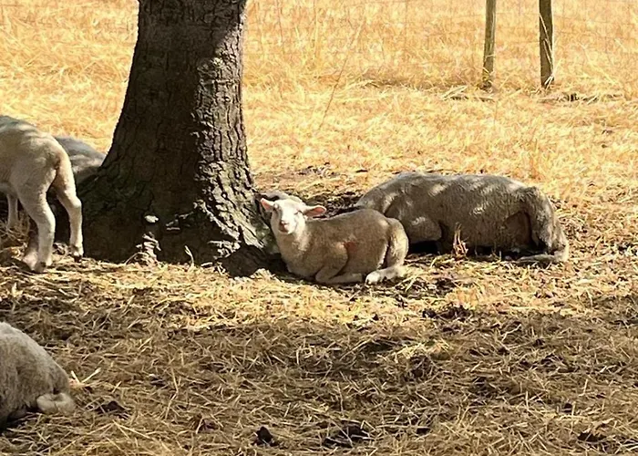 Grande Entre Vienne Et Berry Brigueuil-le-Chantre